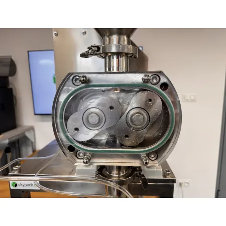 Pompa rotacyjna P50-5-0.3-6